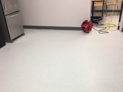 Vinyl floors cleaned 